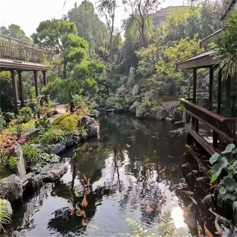 七台河假山植物小鱼池